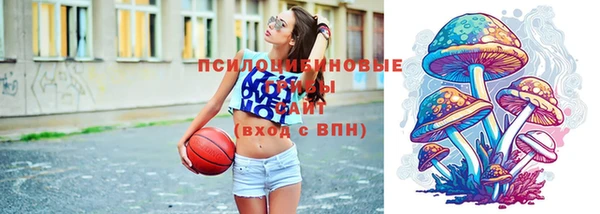 spice Бронницы