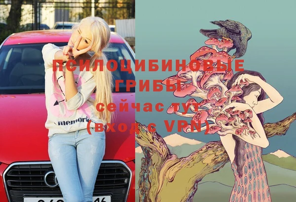 spice Бронницы