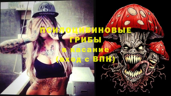 mdma Бородино